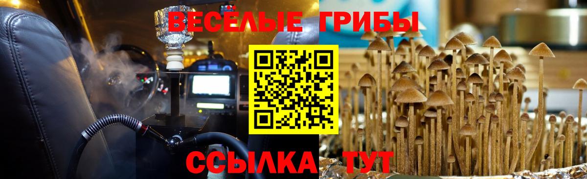 Галлюциногенные грибы MAGIC MUSHROOMS  Вход с VPN  Галлюциногенные грибы Magic Shrooms  Топки 